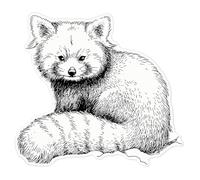 Azeeda 'Red Panda Portrait' Clear Premium Vinyl Decal Stickers - Waterproof, Durable & Easy to Apply - for Car Bumpers, Windows, Bins & More - Large (210mm) (DC00150350)