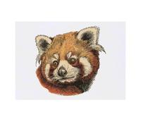 Azeeda 'Red Panda Portrait' Temporary Tattoo - Water Resistant, Skin-Safe, Non-Toxic Transfer (TO00090117)