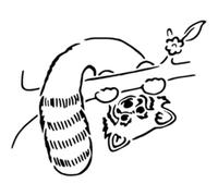 Azeeda 'Red Panda' Reusable Stencil - Durable Decorative Template for Painting and Spraying on Walls, Tiles, Wood, Fabric & Craft Projects - S (A6) (WS00063723)