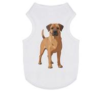 Azeeda 'Rhodesian Ridgeback Dog' Pet Dog/Cat T-Shirt, M (PT00178482)