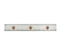 Azeeda 'Roaring Lioness With England Flag' 30cm (12 Inch) White Plastic Ruler (RL00100022)