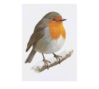 Azeeda 'Robin Bird on a Snowy Winter Branch' Temporary Tattoo - Water Resistant, Skin-Safe, Non-Toxic Transfer (TO00092865)