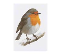 Azeeda 'Robin On Snowy Branch' Temporary Tattoo - A6 (TO00092865)