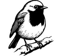 Azeeda 'Robin On Snowy Branch' Unmounted Rubber Stamp - A7 (RS00065177)