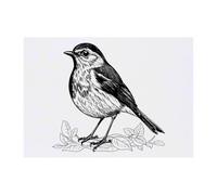 Azeeda 'Robin Red Breast Nesting' Temporary Tattoo - A6 (TO00098113)