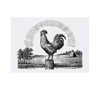 Azeeda 'Rooster Crowing on Farm' Temporary Tattoo - Water Resistant, Skin-Safe, Non-Toxic Transfer (TO00092601)