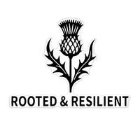 Azeeda 'Rooted and Resilient Thistle' Clear Premium Vinyl Decal Stickers - Waterproof, Durable & Easy to Apply - for Car Bumpers, Windows, Bins & More - XXL (720mm) (DC00162637)