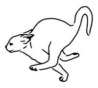 Azeeda 'Running Scared Cat' Reusable Stencil - Durable Decorative Template for Painting and Spraying on Walls, Tiles, Wood, Fabric & Craft Projects - M (A5) (WS00061362)