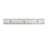 Azeeda 'Scarlet Macaw on a Branch' 30cm (12 Inch) White Plastic Ruler (RL00107834)
