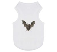 Azeeda 'Scary Vampire Bat With Open Wings' Pet Dog/Cat T-Shirt, M (PT00168590)