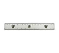 Azeeda 'Scottish Thistle & Saltire' 30cm (12 Inch) White Plastic Ruler (RL00111938)