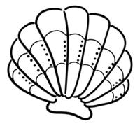 Azeeda 'Sea Shell' Reusable Stencil - Durable Decorative Template for Painting and Spraying on Walls, Tiles, Wood, Fabric & Craft Projects - S (A6) (WS00066293)