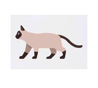 Azeeda 'Siamese Cat' Temporary Tattoo - Water Resistant, Skin-Safe, Non-Toxic Transfer (TO00096123)