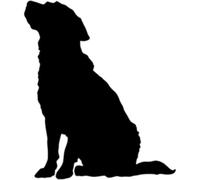 Azeeda 'Silhouette of Dog Sitting' Reusable Stencil - Durable Decorative Template for Painting and Spraying on Walls, Tiles, Wood, Fabric & Craft Projects - S (A6) (WS00067988)