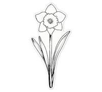 Azeeda 'Single Daffodil Flower' White Premium Vinyl Decal Sticker - Waterproof, Durable & Easy to Apply - Ideal for Car Bumpers, Windows, Bins and More - Large (210mm) (DW00134230)