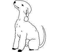 Azeeda 'Sitting Bedlington Terrier Dog' Reusable Stencil - Durable Decorative Template for Painting and Spraying on Walls, Tiles, Wood, Fabric & Craft Projects - L (A4) (WS00061163)