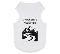 Azeeda 'Skiing Challenge Accepted' Pet Dog/Cat T-Shirt, L (PT00159795)