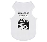 Azeeda 'Skiing Challenge Accepted' Pet Dog/Cat T-Shirt, M (PT00159794)