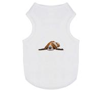 Azeeda 'Sleepy Basset Hound' Pet Dog/Cat T-Shirt, XS (PT00086916)