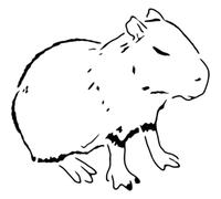 Azeeda 'Sleepy Capybara' Reusable Stencil - Durable Decorative Template for Painting and Spraying on Walls, Tiles, Wood, Fabric & Craft Projects - L (A4) (WS00055139)