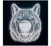 Azeeda Small 100mm 'Funny Wolf Front View' Clear Static Window Cling Sticker/Decal (White) (WC00162151)