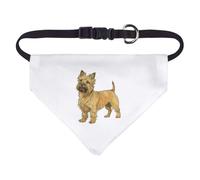 Azeeda Small 'Cairn Terrier Standing' Dog/Cat/Pet Bandana (PD00066261)