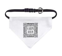 Azeeda Small 'Carpe Diem Motif' Dog/Cat/Pet Bandana (PD00082949)