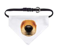 Azeeda Small 'Close-Up Of A Dog's Nose And Muzzle' Dog/Cat/Pet Bandana (PD00070795)