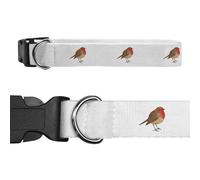 Azeeda Small 'Colorful Robin Bird' Dog Collar (PR00075299)