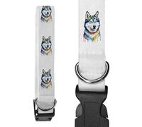 Azeeda Small 'Colourful Husky' Dog Collar (PR00083651)