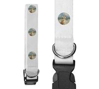 Azeeda Small 'Corgi on Beach' Dog Collar (PR00083453)