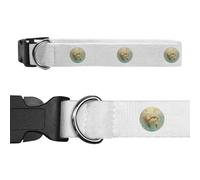 Azeeda Small 'Cute Otter Swimming' Dog Collar (PR00081269)