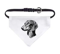 Azeeda Small 'Dachshund Portrait Side View' Dog/Cat/Pet Bandana (PD00074579)