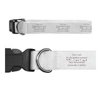 Azeeda Small 'Don't Wait For The Perfect Moment' Dog Collar (PR00085381)