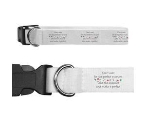 Azeeda Small 'Don't Wait For The Perfect Moment' Dog Collar (PR00085381)