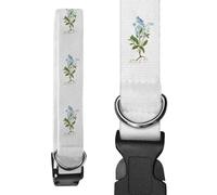 Azeeda Small 'Forget Me Not Flower' Dog Collar (PR00085327)
