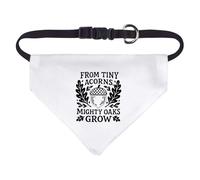 Azeeda Small 'From Tiny Acorns Mighty Oaks Grow' Dog/Cat/Pet Bandana (PD00071791)
