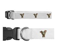 Azeeda Small 'Funny Austrian Pinscher' Dog Collar (PR00080801)
