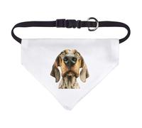 Azeeda Small 'Funny Harrier Dog' Dog/Cat/Pet Bandana (PD00081283)