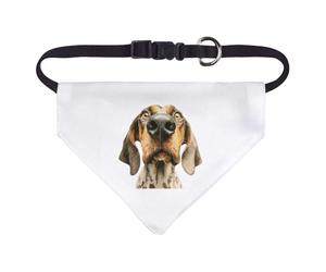 Azeeda Small 'Funny Harrier Dog' Dog/Cat/Pet Bandana (PD00081283)