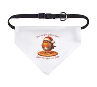 Azeeda Small 'Funny Robin With Pizza' Dog/Cat/Pet Bandana (PD00072789)