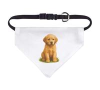 Azeeda Small 'Golden Retriever Puppy Sitting On The Grass' Dog/Cat/Pet Bandana (PD00070811)