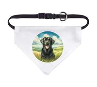 Azeeda Small 'Happy Black Labrador' Dog/Cat/Pet Bandana (PD00069339)