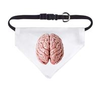 Azeeda Small 'Human Brain' Dog/Cat/Pet Bandana (PD00080771)