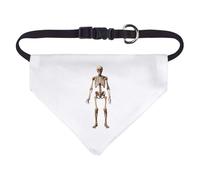 Azeeda Small 'Human Skeleton' Dog/Cat/Pet Bandana (PD00080487)