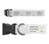 Azeeda Small 'Live For Today' Dog Collar (PR00073167)