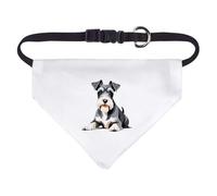 Azeeda Small 'Miniature Schnauzer' Dog/Cat/Pet Bandana (PD00077557)