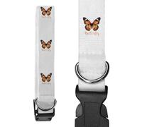 Azeeda Small 'Pretty Orange Butterfly ' Dog Collar (PR00073589)