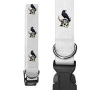 Azeeda Small 'Raven on Viking Skull' Dog Collar (PR00079017)