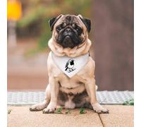 Azeeda Small 'Robin Bird on a Snowy Winter Branch' Dog/Cat/Pet Bandana (PD00072673)